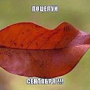 ���� �����, �������, 67 ��� - ��������� 2 ������� 2017 � ������ �������