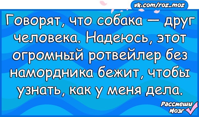  - 15  2017  07:01
