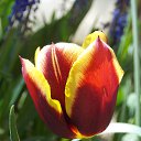 14.05.2017 �� ������� ���� ����������� (!) ��������)�