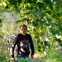 Single, ������, 49 ���