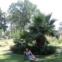 ������ ����� �� ������� ���� ����������