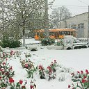 ���� �����, ��������� - ��������� 21 ������ 2017 � ������ ���������� �������� 20 � 21 ������ 2017 ����