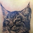 ���� �����, ���������, 37 ��� - ��������� 31 ��� 2017 � ������ ���� ����������