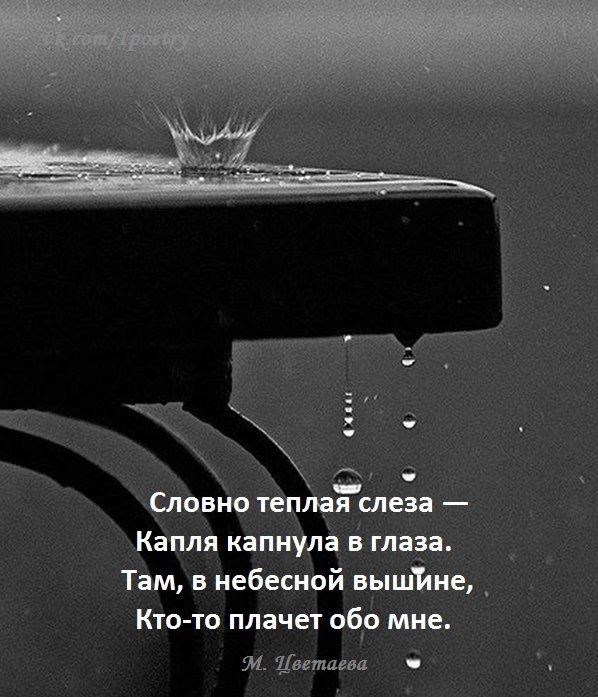     - 15  2017  03:29