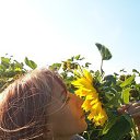 ���� ������ ����������, ������, 52 ���� - ��������� 21 �������� 2017 � ������ ���� ����������