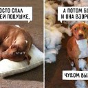 ���� �����, ������ - ��������� 7 ���� 2017 � ������ ������ ��������
