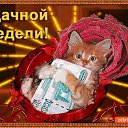 ���� ��������, ���������� - ��������� 23 ������� 2017 � ������ ���� ����������