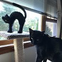 ���� ������, ����� - ��������� 30 �������� 2017 � ������ ������ ��������