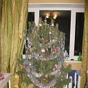 ���� Orags, ������, 40 ��� - ��������� 7 ��� 2017
