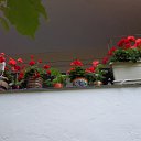 ���� ����, ������, 77 ��� - ��������� 24 �������� 2017 � ������ ���� ����������
