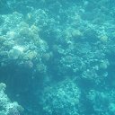 ���� ��������, �����, 57 ��� - ��������� 19 ������� 2017 � ������ ������� 2017�