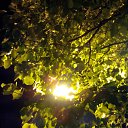 ���� Vassa, ���� - ��������� 21 ��� 2017 � ������ ������ ��������