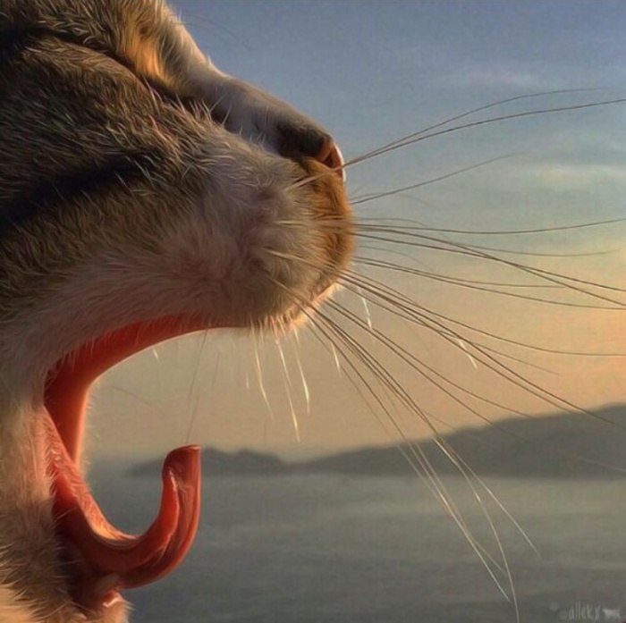   :3