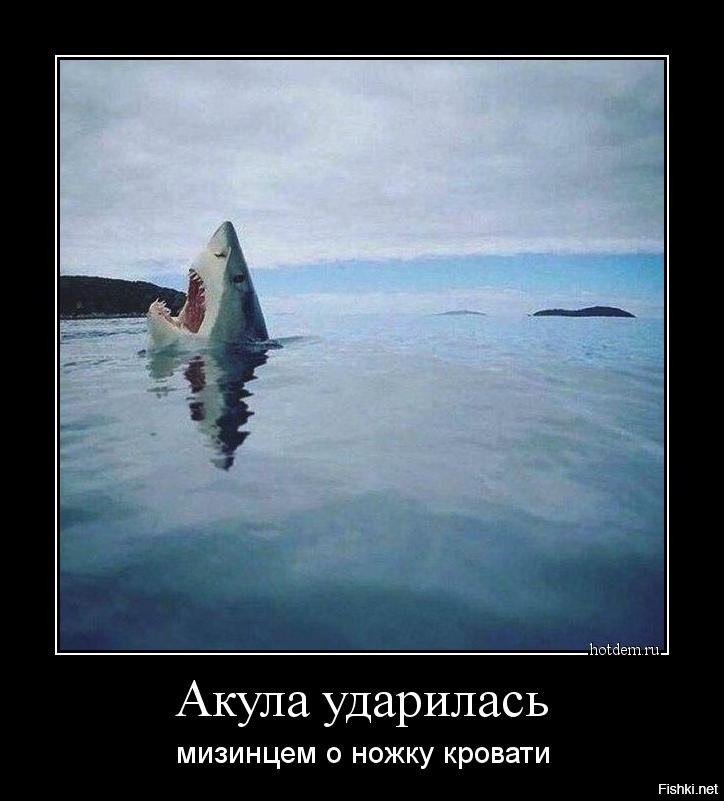   - 2  2017  15:27