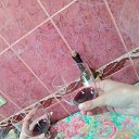 ���� 15 ����, ������� - ��������� 24 ������ 2017 � ������ ������ ��������