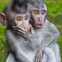 ���� �����, ������, 63 ���� - ��������� 10 ���� 2017 � ������ ���� ����������