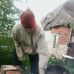 �������, ������ ��������, 69 ���