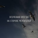 ���� �����, �����-���������, 79 ��� - ��������� 23 ���� 2017 � ������ ������ ��������