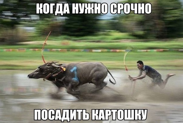   - 17  2017  17:43