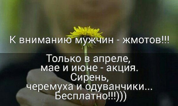  - 7  2017  11:55