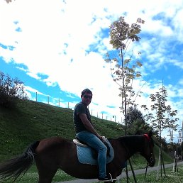 ���� ����� Alex, �����, 43 ���� - ��������� 23 ���� 2017