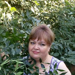 �����, �������, 59 ���