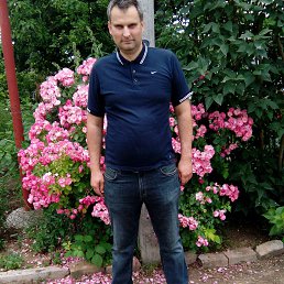 ����, �����������, 44 ����