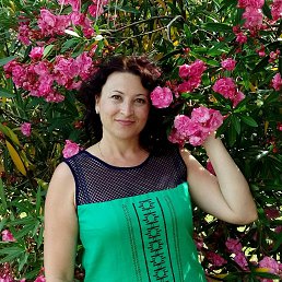 ���� ����, ������ - ��������� 11 ������� 2017