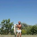 ���� ��������, ����������, 56 ��� - ��������� 26 ���� 2017 � ������ ���� ����������