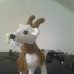 �����, ������, 41 ���