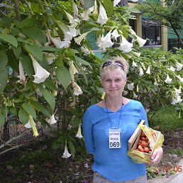 �����, ���������, 59 ���