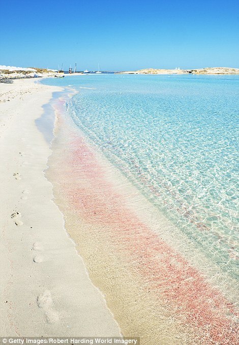  Playa de Ses Illetes     