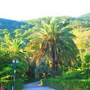 ���� ��������, ���� - ��������� 19 ���� 2017