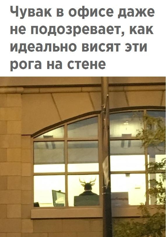 ����� ���������� �� �����! - 11 ������ 2017 � 08:07