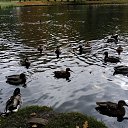 ���� �����, ��������, 57 ��� - ��������� 4 ������� 2017 � ������ ���� ����������