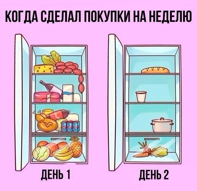    |   - 5  2017  05:08