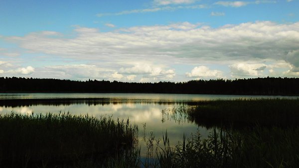 Всем хорошего настроения и приятного просмотра. Увлечение: фотография без компьютерной обработки. ... - 5