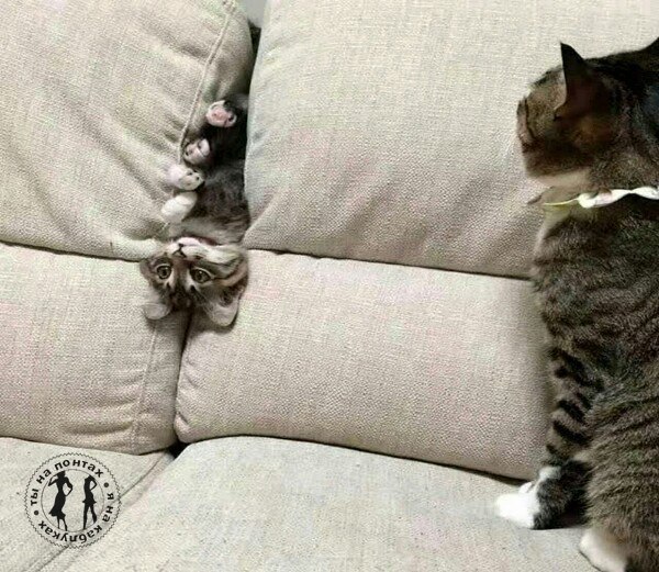 -       ... -     ,     !