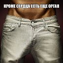 ���� �����, �����������, 53 ���� - ��������� 13 ������ 2017 � ������ ����. �����