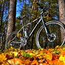 ���� ��������, ����, 39 ��� - ��������� 28 ������� 2017 � ������ ������ ��������