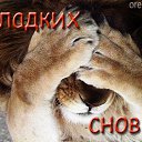 ���� �������, �����-���������, 55 ��� - ��������� 30 ���� 2017 � ������ ���������Ȼ