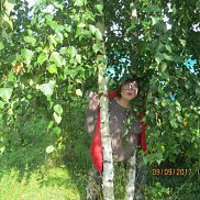 ����, , �����-���������