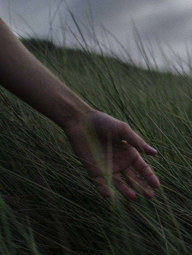 carpediem - 31  2017  02:24