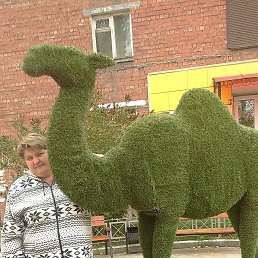 ���� �����, �������, 67 ��� - ��������� 28 ������� 2017