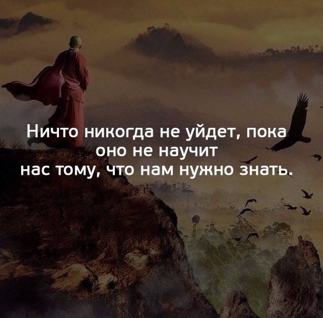   . . . - 8  2017  16:14
