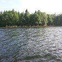 ���� ������, �����-���������, 55 ��� - ��������� 21 �������� 2017 � ������ ���� ����������