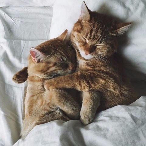  :3