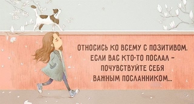   - 26  2017  07:52