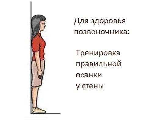 ПРАВИЛЬНАЯ ОСАНКА - ДЛЯ ЗДОРОВЬЯ ПОЗВОНОЧНИКА. Так как многие болезни появляются от неправильного ...