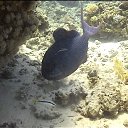 ���� ������, ������, 58 ��� - ��������� 5 �������� 2017 � ������ ��������